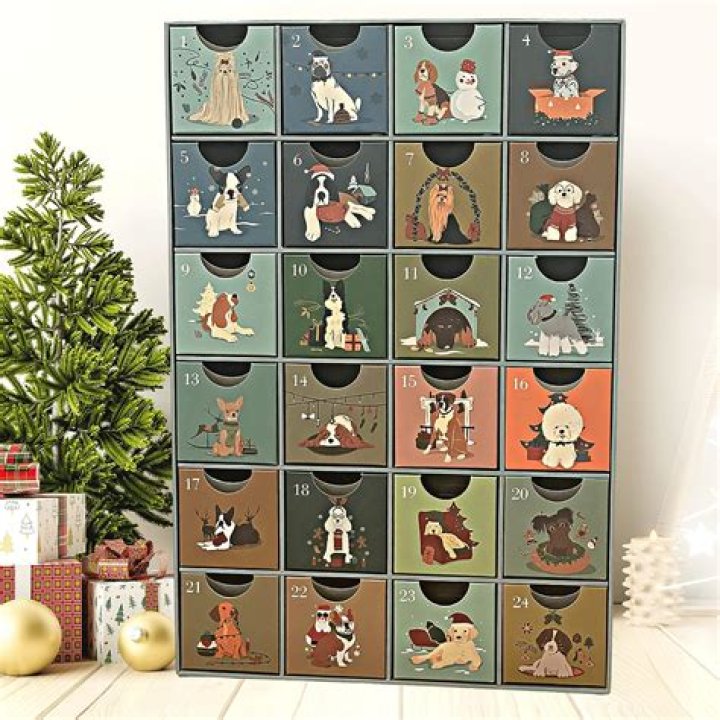 10 Best Pet Advent Calendars of 2023