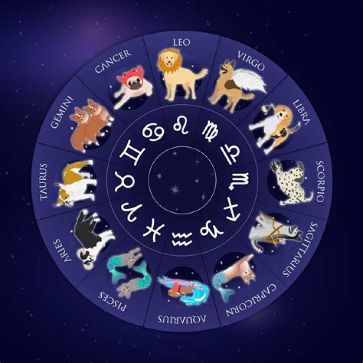 12 Dog Star Signs, Their Personality Traits And Human Match