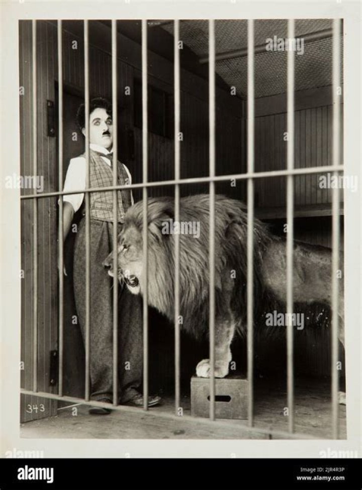 Charlie Chaplin in the lion's cage: The Circus (1928)