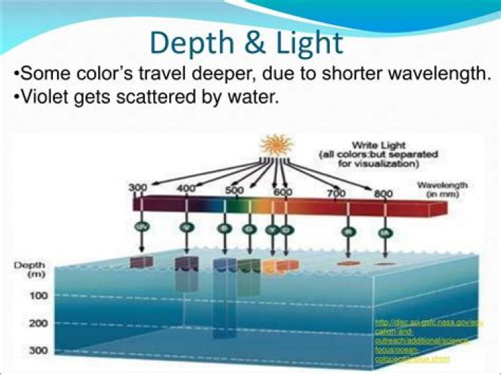 How do colors change as you go deeper in the ocean?