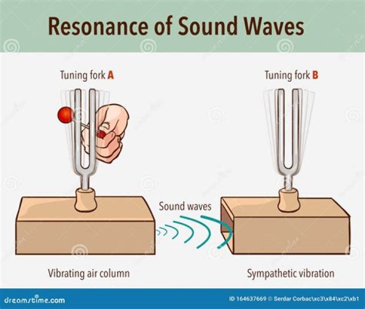 Resonance, forced vibration, and a tuning forks demo