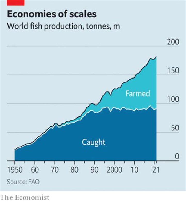 The future of fish farming is on land